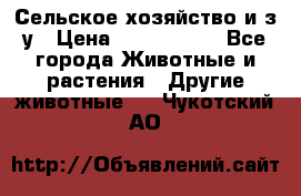 Сельское хозяйство и з/у › Цена ­ 2 500 000 - Все города Животные и растения » Другие животные   . Чукотский АО